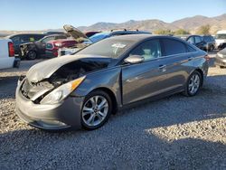 Hyundai Sonata salvage cars for sale: 2013 Hyundai Sonata SE