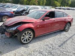 Cadillac ct5 salvage cars for sale: 2023 Cadillac CT5 Sport