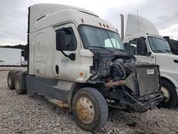 Freightliner Cascadia 113 salvage cars for sale: 2017 Freightliner Cascadia 113