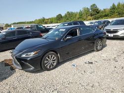 Lexus es 350 salvage cars for sale: 2021 Lexus ES 350 Base