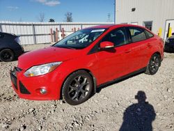 Ford Focus se salvage cars for sale: 2013 Ford Focus SE