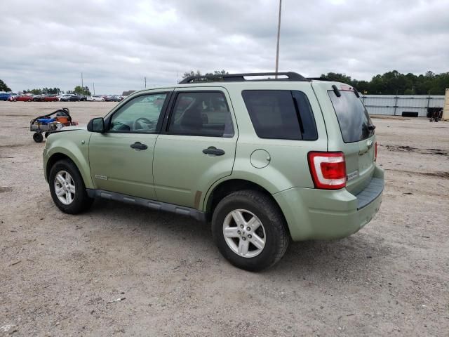 2008 Ford Escape HEV