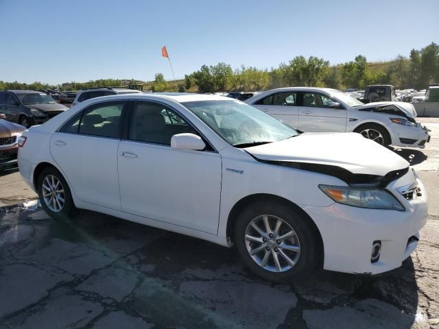 2010 Toyota Camry Hybrid