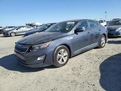 Salvage cars for sale from Copart Antelope, CA: 2015 KIA Optima Hybrid