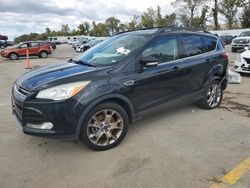 Ford Escape sel Vehiculos salvage en venta: 2013 Ford Escape SEL