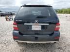 2010 Mercedes-Benz ML 350