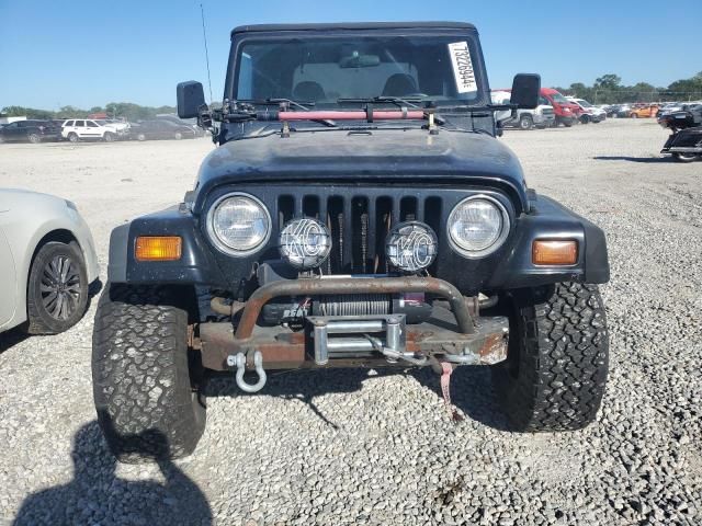 1999 Jeep Wrangler / TJ Sport