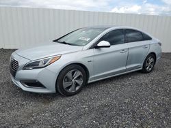 Hyundai Sonata salvage cars for sale: 2017 Hyundai Sonata Hybrid