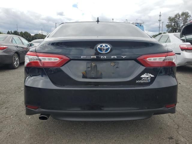 2019 Toyota Camry Hybrid