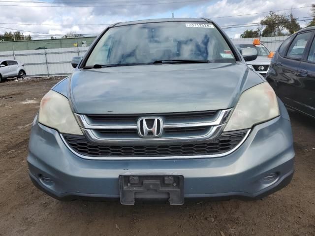 2010 Honda CR-V EXL