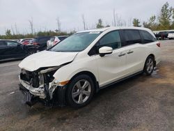 Honda Odyssey exl Vehiculos salvage en venta: 2019 Honda Odyssey EXL