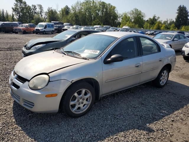 2005 Dodge Neon SXT