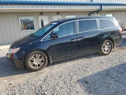 Honda Odyssey exl salvage cars for sale: 2012 Honda Odyssey EXL