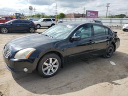 Nissan Maxima salvage cars for sale: 2006 Nissan Maxima SE