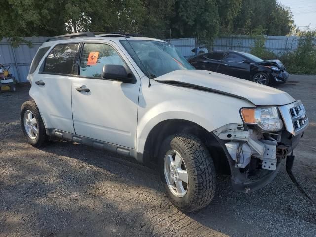 2012 Ford Escape XLT