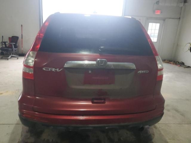 2010 Honda CR-V EXL