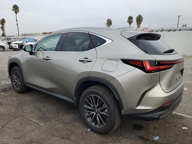 2024 Lexus NX 350 Base