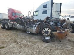 Freightliner Cascadia 126 salvage cars for sale: 2019 Freightliner Cascadia 126