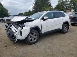 Toyota rav4 salvage cars for sale: 2024 Toyota Rav4 XLE