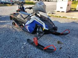 Polaris pro xd salvage cars for sale: 2023 Polaris PRO XD