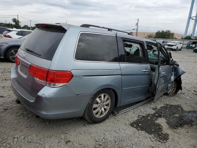 2008 Honda Odyssey EXL