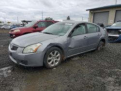 Nissan Maxima salvage cars for sale: 2007 Nissan Maxima SE