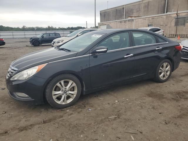 2011 Hyundai Sonata SE