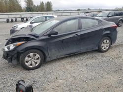 Hyundai Elantra salvage cars for sale: 2016 Hyundai Elantra SE