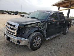 Ford f-150 salvage cars for sale: 2013 Ford F150 Supercrew