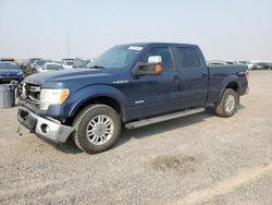 Ford f-150 salvage cars for sale: 2014 Ford F150 Supercrew