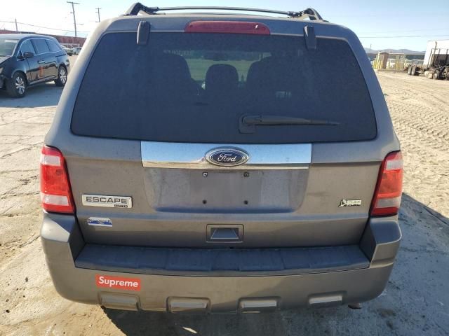 2010 Ford Escape Limited