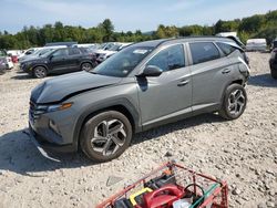 Hyundai salvage cars for sale: 2024 Hyundai Tucson SEL