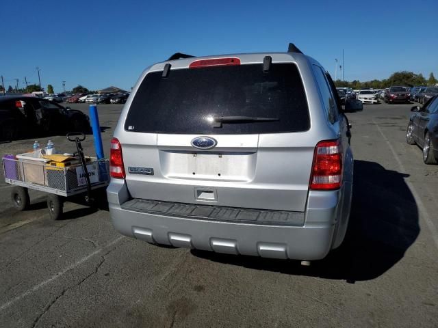 2010 Ford Escape XLT