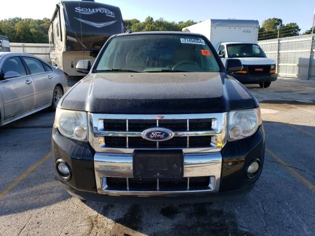 2011 Ford Escape Limited