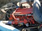 2019 Peterbilt 389