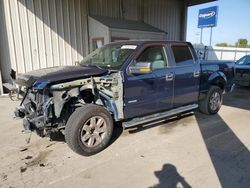 2014 Ford F150 Supercrew en venta en Fort Wayne, IN