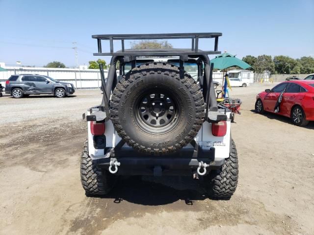 1991 Jeep Wrangler / YJ