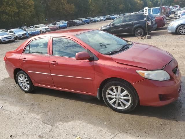 2010 Toyota Corolla Base