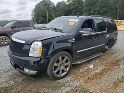 Cadillac salvage cars for sale: 2008 Cadillac Escalade Luxury