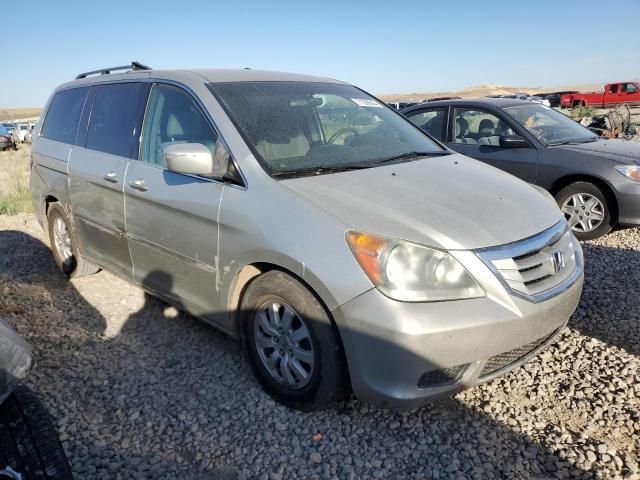 2008 Honda Odyssey EX