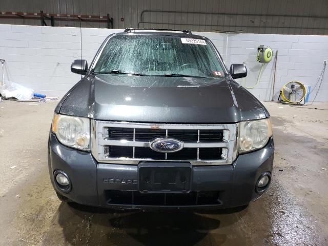 2008 Ford Escape XLT