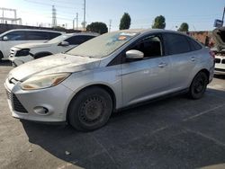 Ford Focus salvage cars for sale: 2013 Ford Focus SE