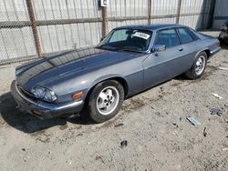 Vehiculos salvage en venta de Copart Los Angeles, CA: 1986 Jaguar XJS