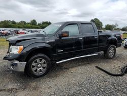 Ford f-150 salvage cars for sale: 2011 Ford F150 Supercrew