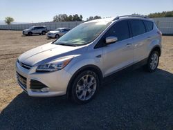 Ford Escape salvage cars for sale: 2014 Ford Escape Titanium