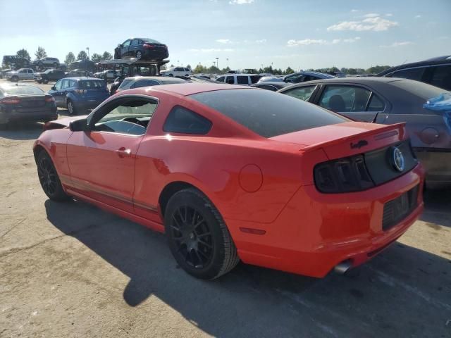 2013 Ford Mustang