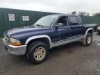 2001 Dodge Dakota Quattro