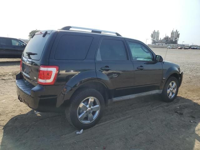 2010 Ford Escape Limited