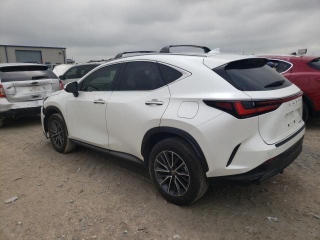 2024 Lexus NX 250 Premium