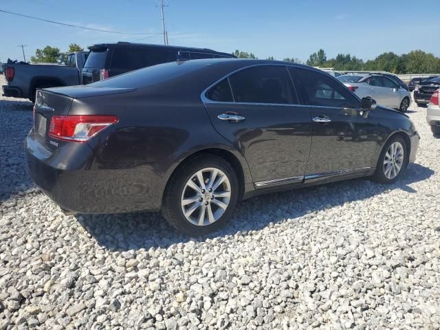 2010 Lexus ES 350